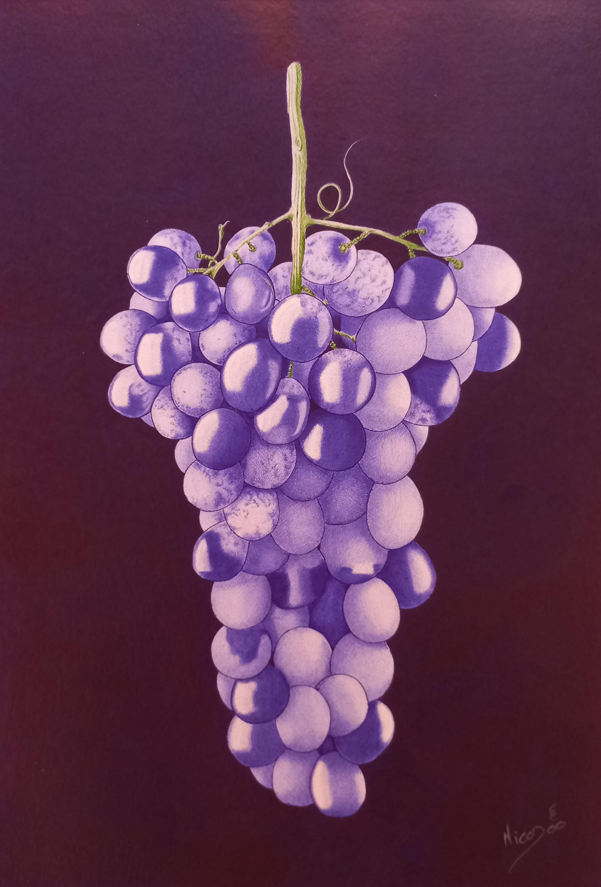 Série sur la vigne et le vin, 3/5